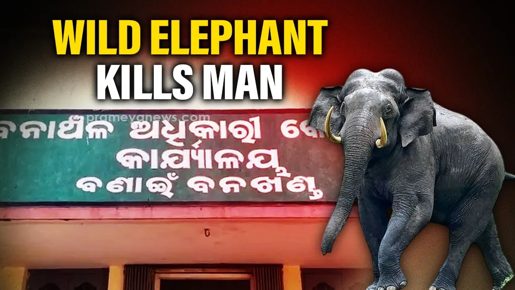  elderly man was dragged out of his home and trampled to death by a wild tusker