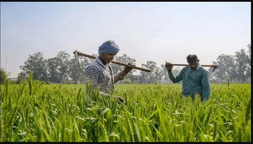 Pradhan Mantri Kisan Samman Nidhi (PM-KISAN) scheme