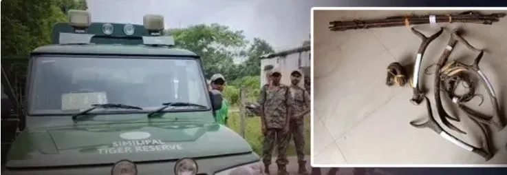threat to wildlife in the Similipal Tiger Reserve